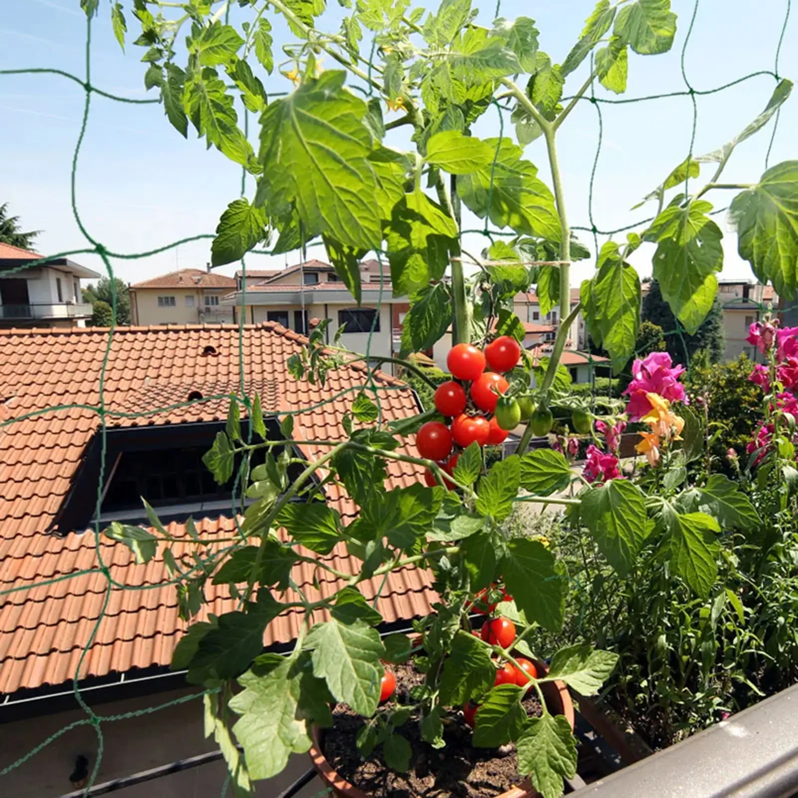 Garden Plants Trellis Netting Plant Garden Vine Growing Flexible String Net For Climbing Plant Fruits Vegetables Vines Grid