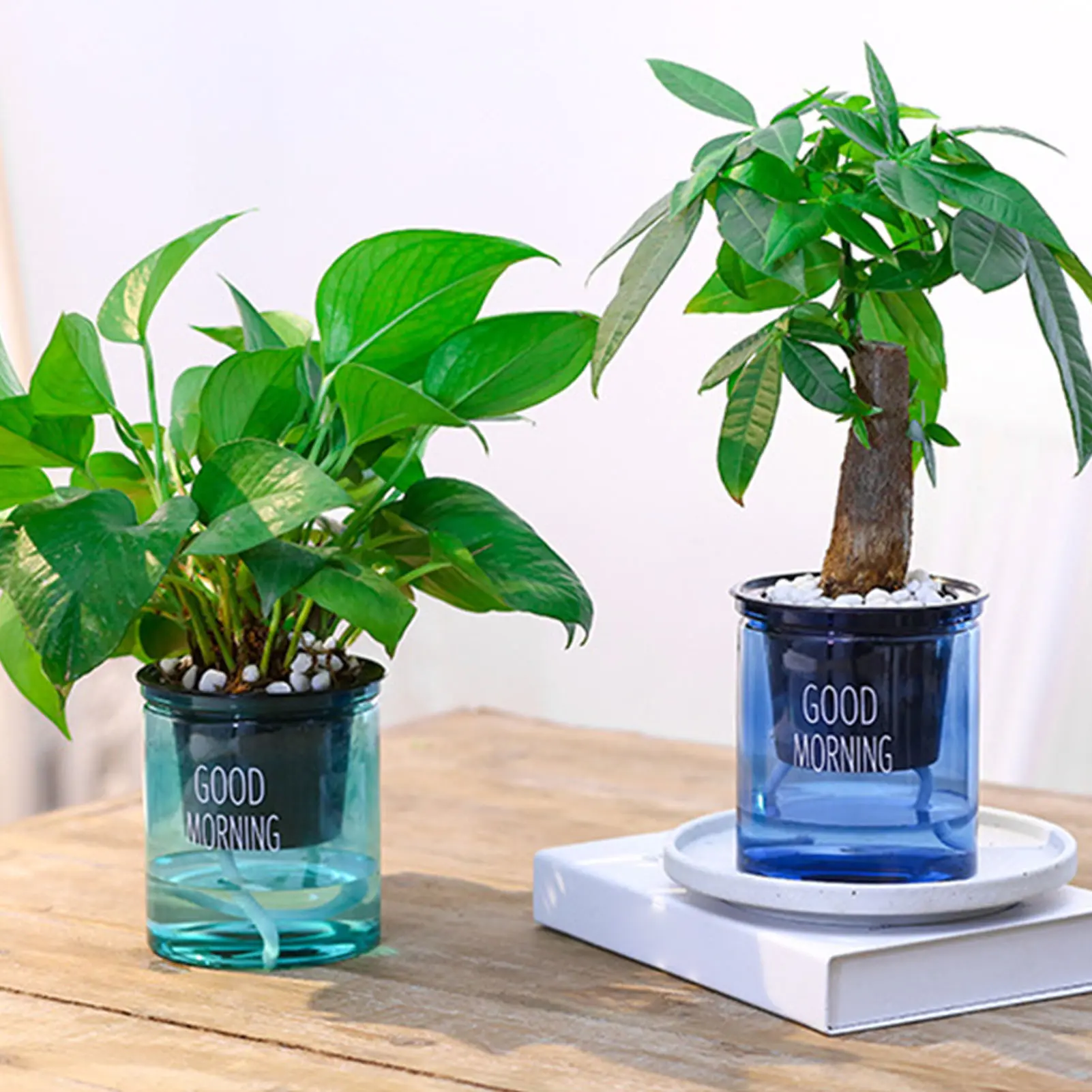 Lazy Plastic Hydroponic Flowerpot Round Automatic Water-absorbing Flower Transparent Double-layer Creative Flowerpot Office