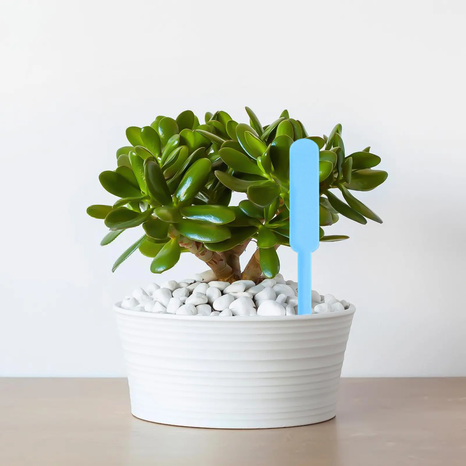 100pcs Waterproof Garden Plant Label Plastic Thickening Mark Flowerpot Seedling Writing Mark Diy Garden Decoration Tool