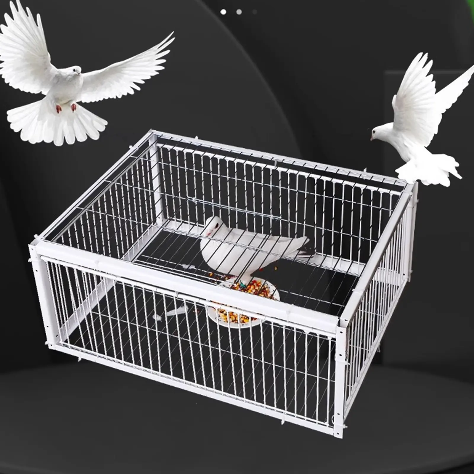 Bird Trap Cage Single Way Entry Sturdy Rust Resistant Versatile Portable Escape Proof Animal Trap Cage for Farm Garden Warehouse