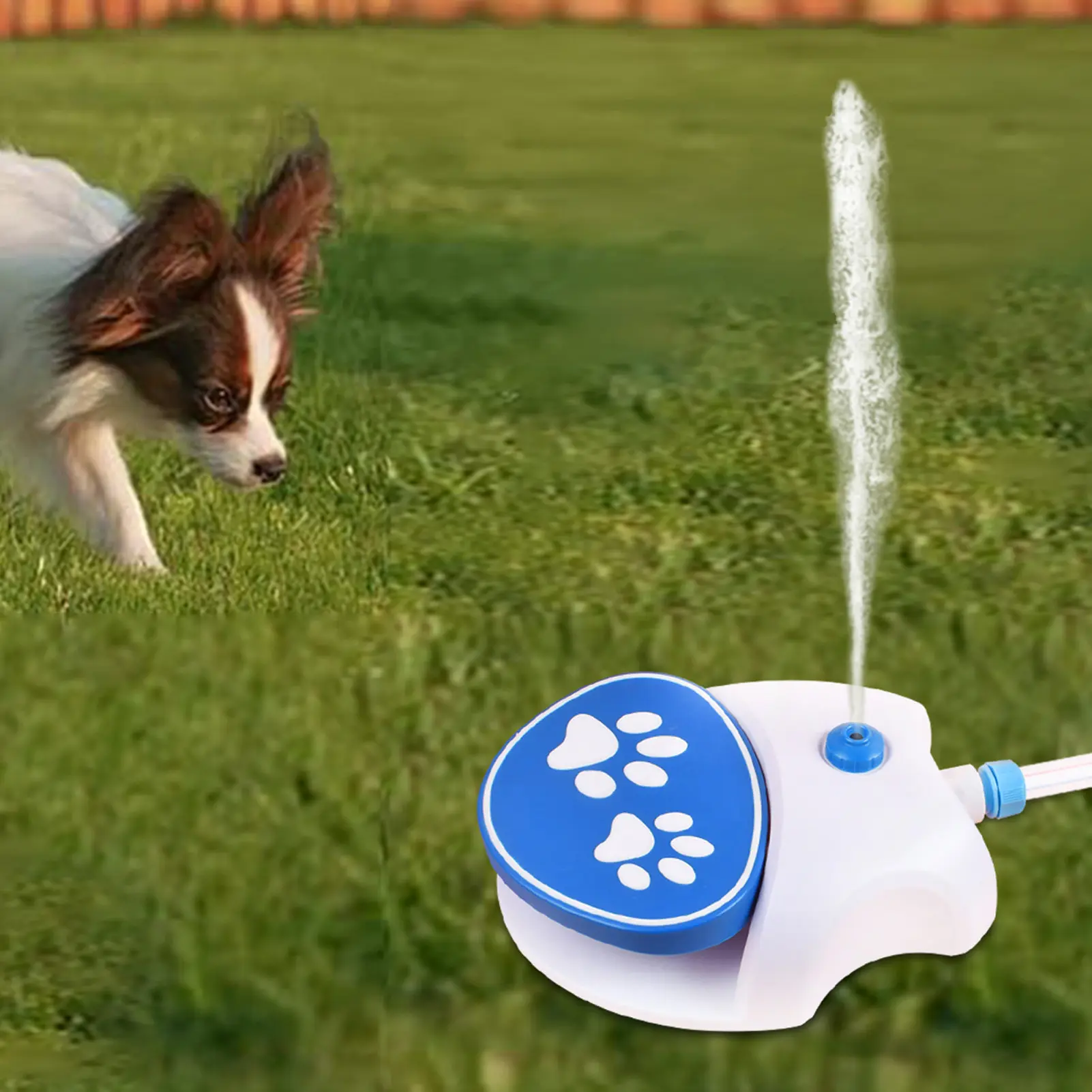Dog Water Fountain Step On Paw Activated Dog Water Dispenser Dog Sprinkler Drinking Water Feeder with Hose