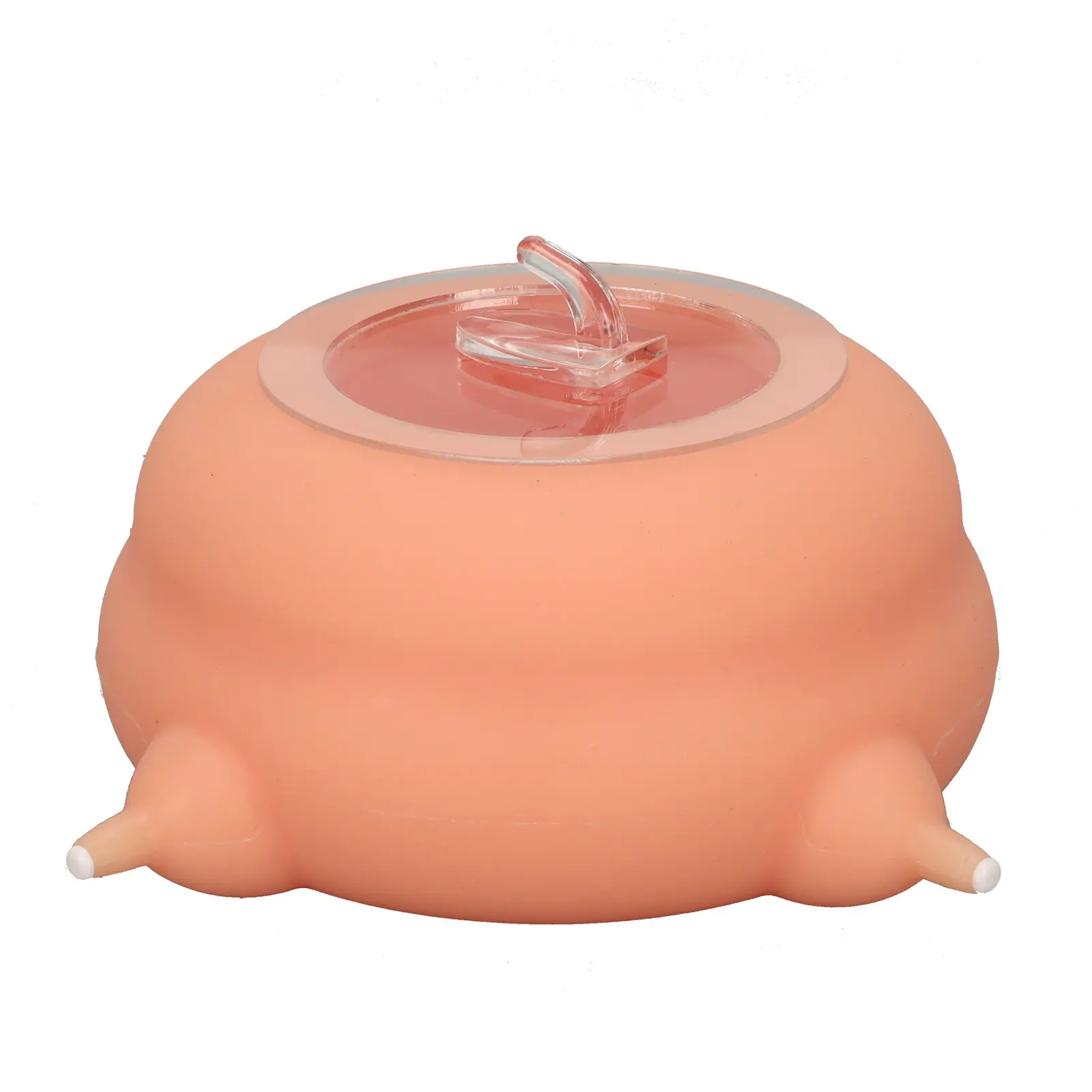 Puppy Milk Feeder Simulated Nipple Puppy Nursing Station  Prevent Choking High Temperature Resistant for Multiple Puppies