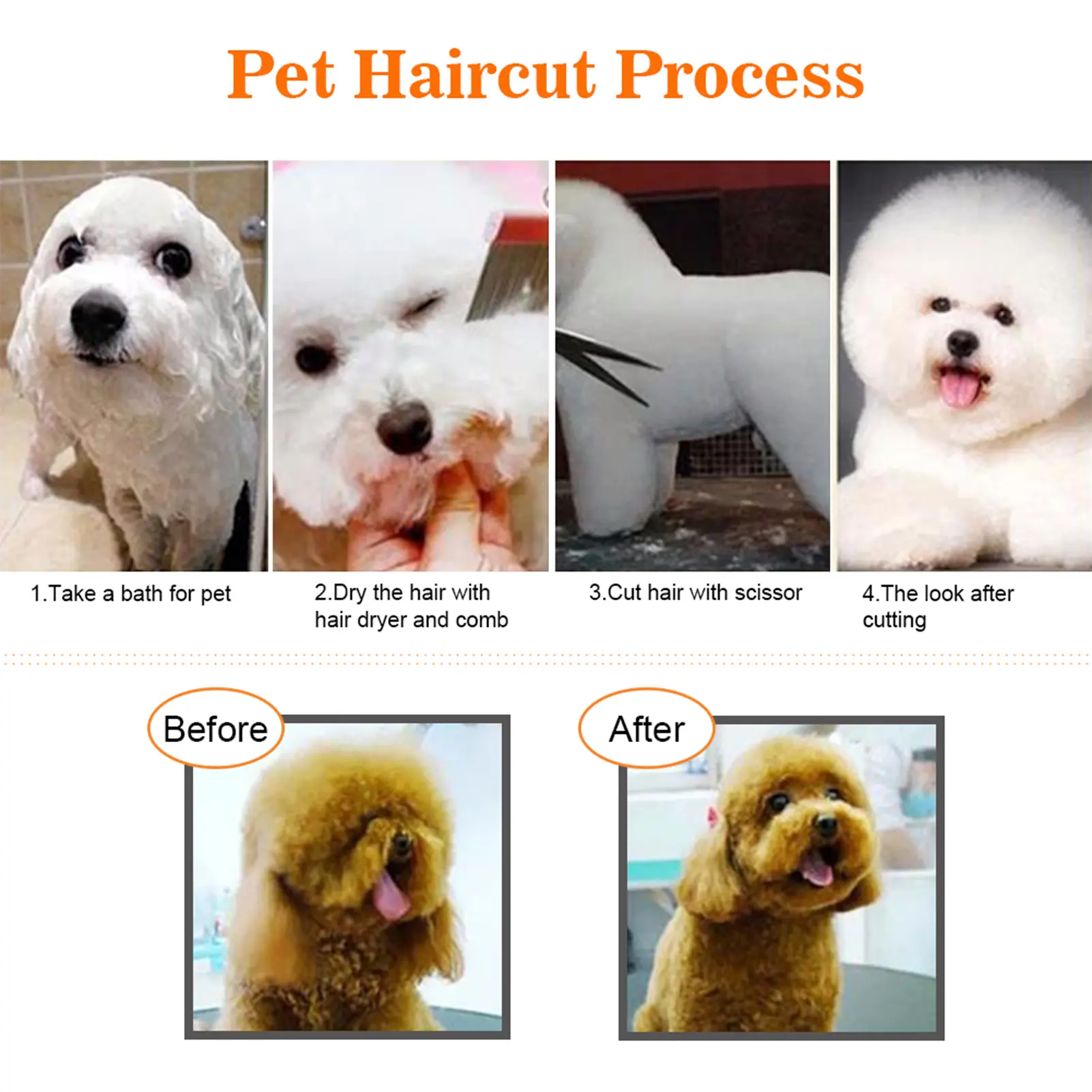 7Pcs Pet Grooming Scissors Kit Dog Cat Hairdressing Shears Set Cutting Thinning Haircut Tools