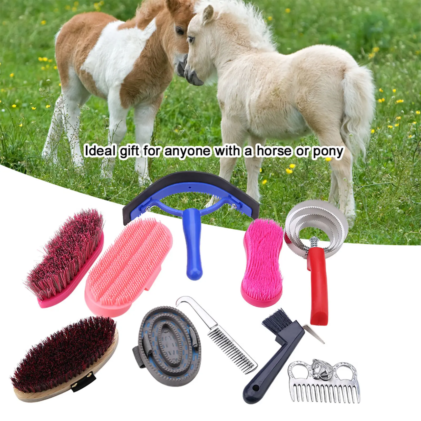 10Pcs Horse Grooming Care Kit Equestrain Brush Curry Comb Horse Cleaning Tool Set