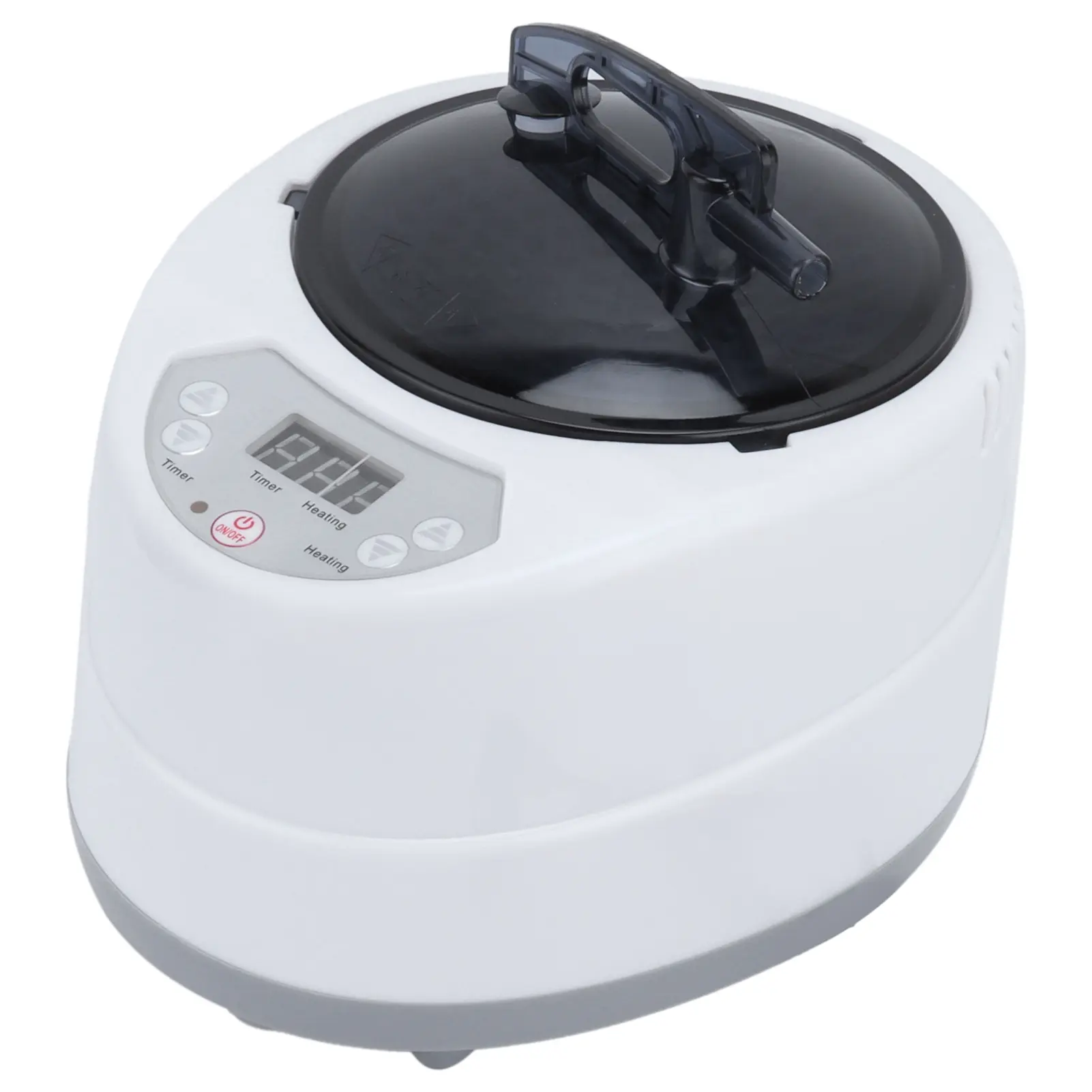 1000W Household Sauna Steamer Pot 2.0L Portable Sweat Spa Steam Pot for Body Detox