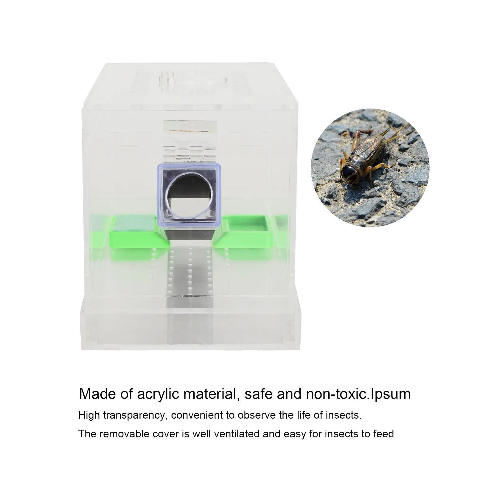 Acrylic Feeding Cricket Keeper Pen with Tubes Insect Cockroach Care Kit Reptile Tank Box