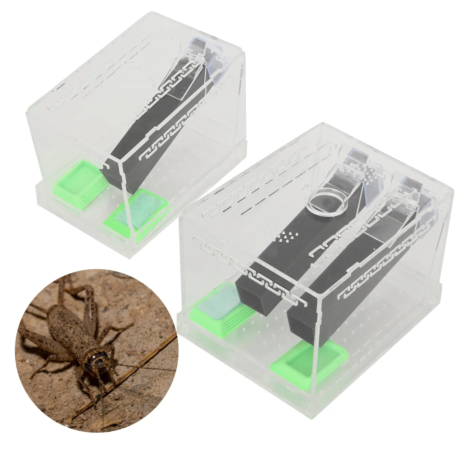Acrylic Feeding Cricket Keeper Pen with Tubes Insect Cockroach Care Kit Reptile Tank Box